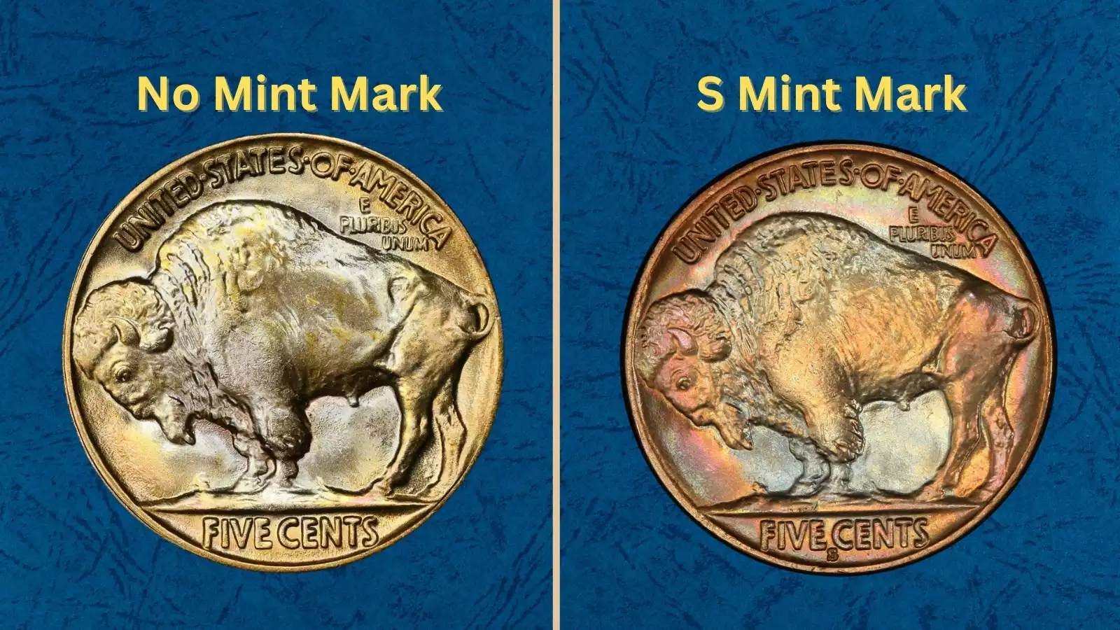 1930 Buffalo Nickel Value (No Mint Mark & S Price Guide)